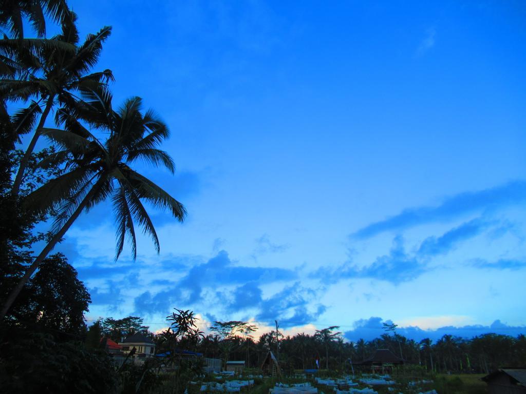 Hars Garden Tree Houses Hotel Ubud Exterior foto